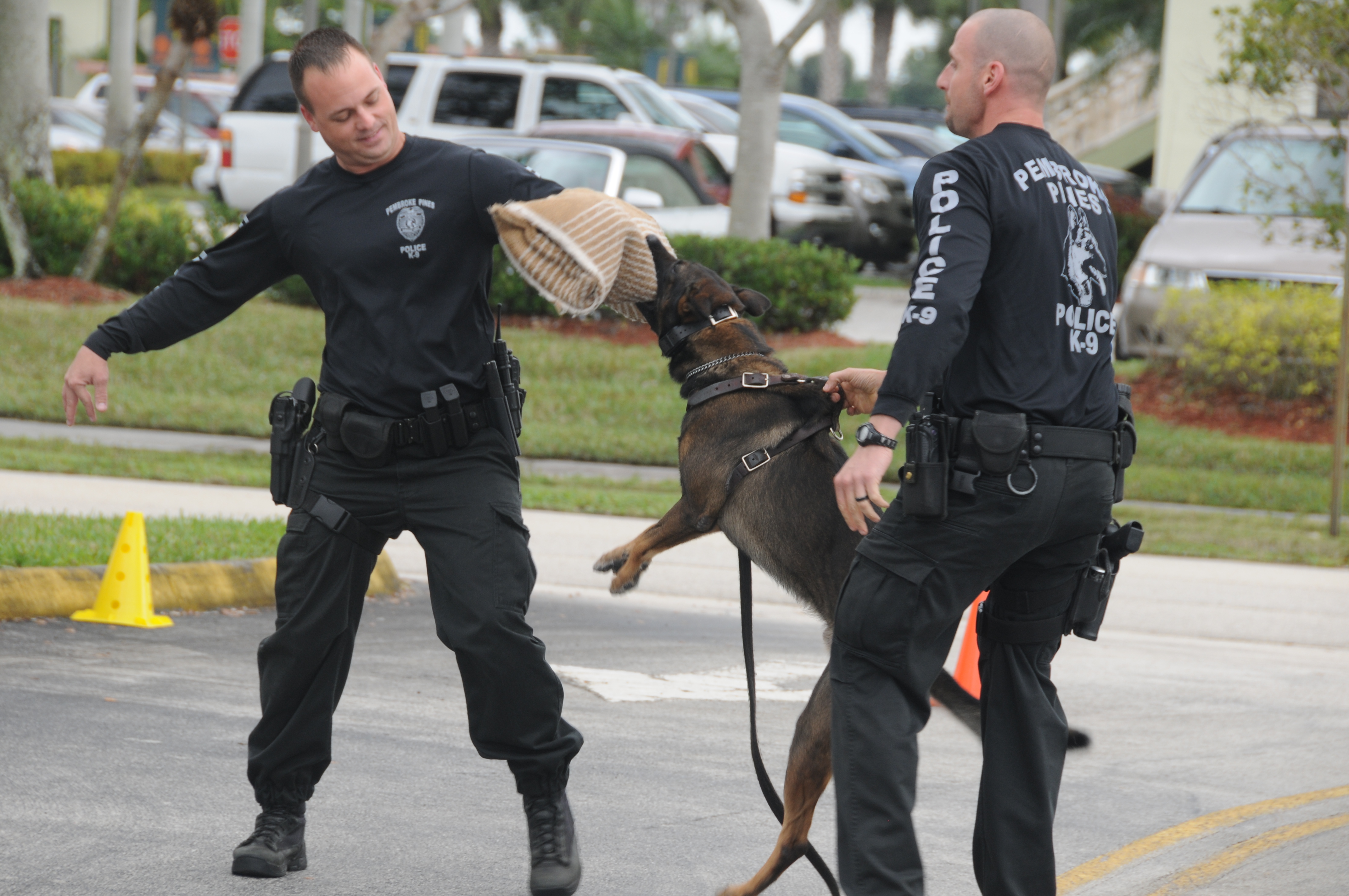 Officer Paglia, Oficer Wagnerand, and K-9 Siep